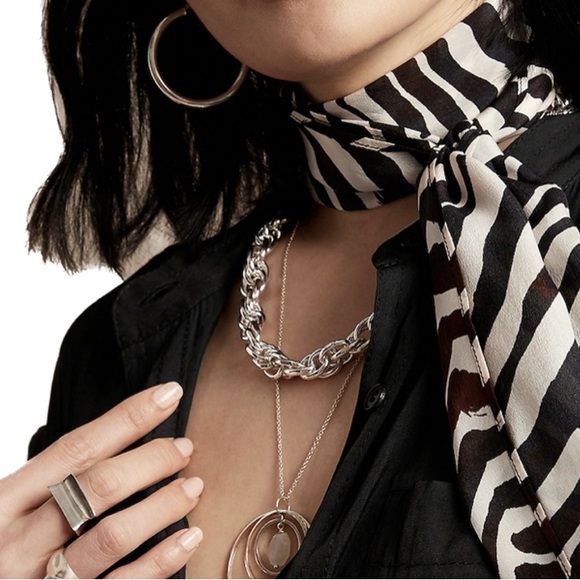 Banana Republic Accessories - Aureus + Argent Ravena Stainless Steel with Silver Plating Chain Link Necklace